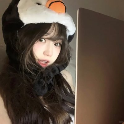 哈吉布基的森林冒险